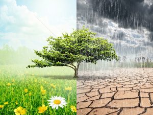 earthocgas.com-climate_change